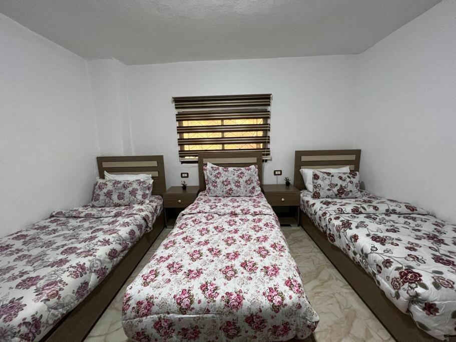 Z3 Apartment Вади Муса Экстерьер фото