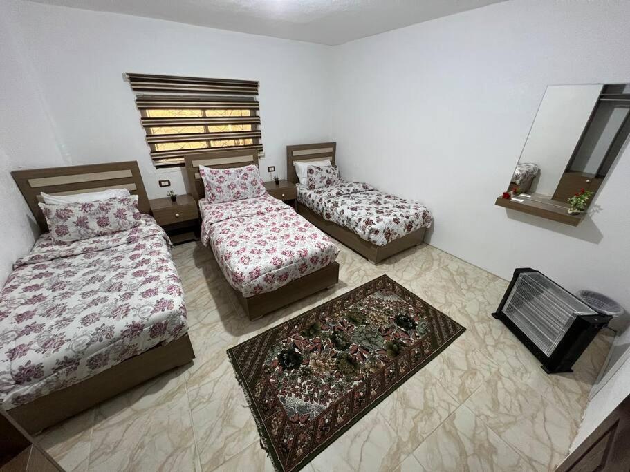 Z3 Apartment Вади Муса Экстерьер фото
