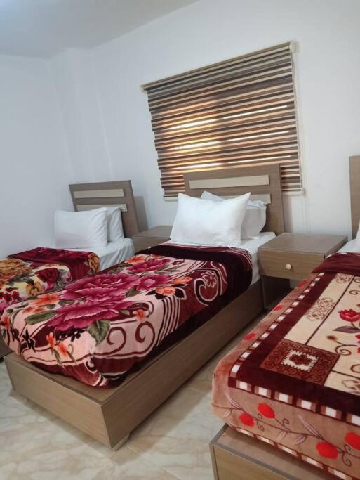 Z3 Apartment Вади Муса Экстерьер фото