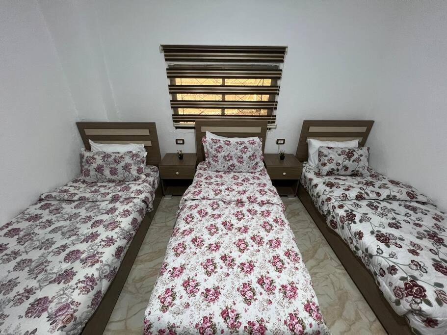 Z3 Apartment Вади Муса Экстерьер фото