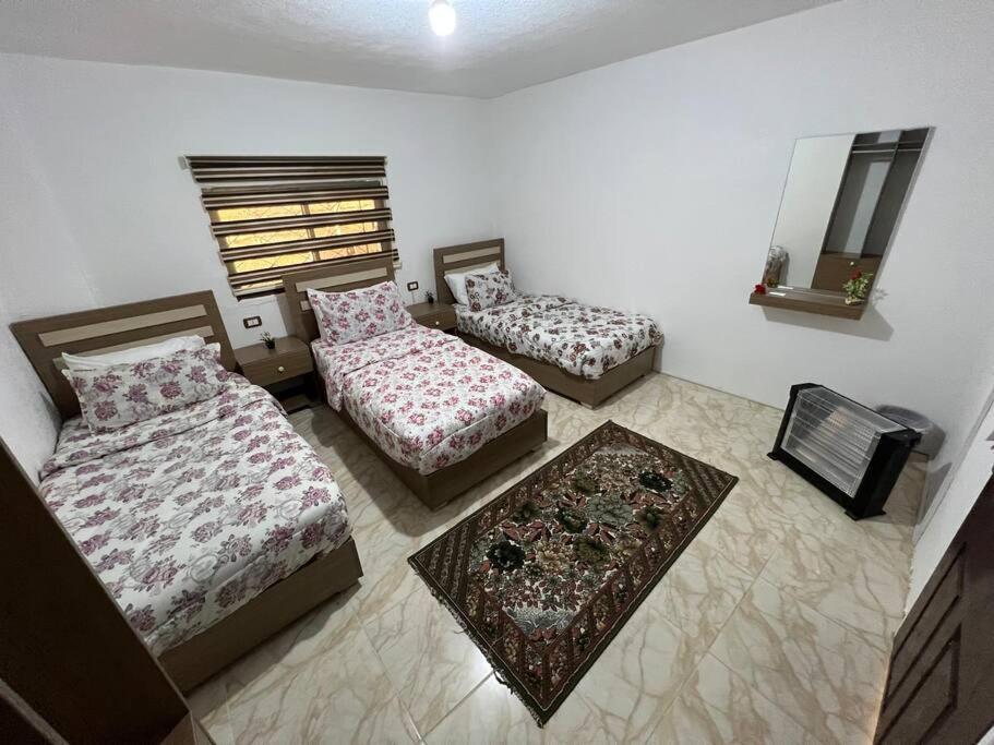 Z3 Apartment Вади Муса Экстерьер фото